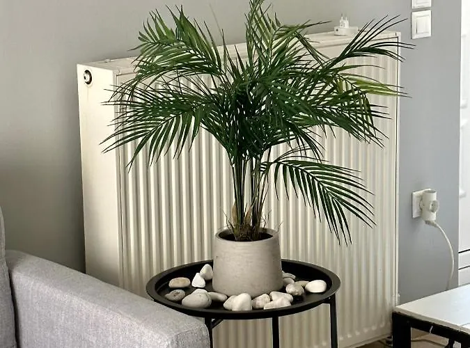 Tiny Loft In Apartament Argostoli (Kefalonia)