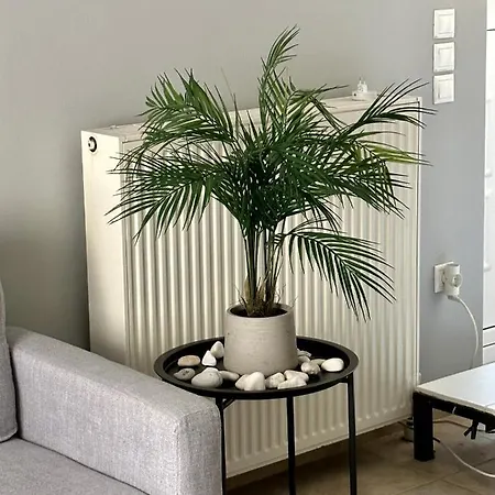 Tiny Loft In Lejlighed Argostoli (Kefalonia)